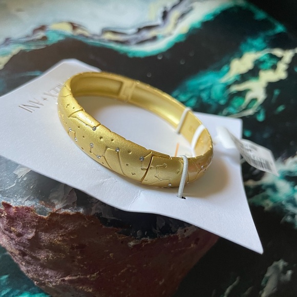 NWT Alex and Ani Leo Zodiac Hinge Bangle - Picture 8 of 8